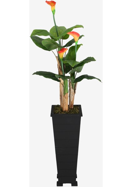 Ahşap Saksıda Yapay Gala Ağacı 165 cm