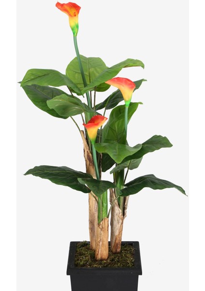 Ahşap Saksıda Yapay Gala Ağacı 165 cm modelleri