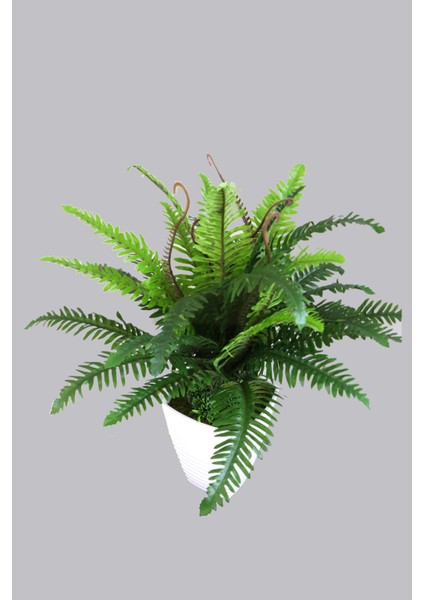 Yapay Aşk Merdiveni Melamin Saksıda 60 cm fiyatları