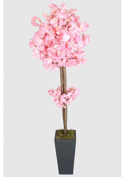Ahşap Saksıda Yapay Bahar Dalı Ağacı Pembe 150 cm