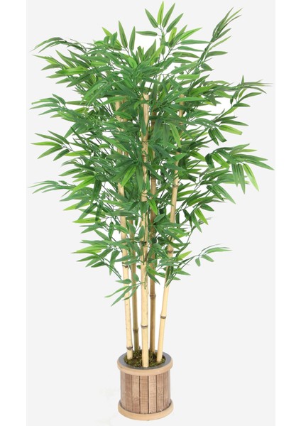6 Gövdeli Extra Yoğun Yapraklı 125 cm Yapay Bambu Ağacı (Ahşap Saksılı)