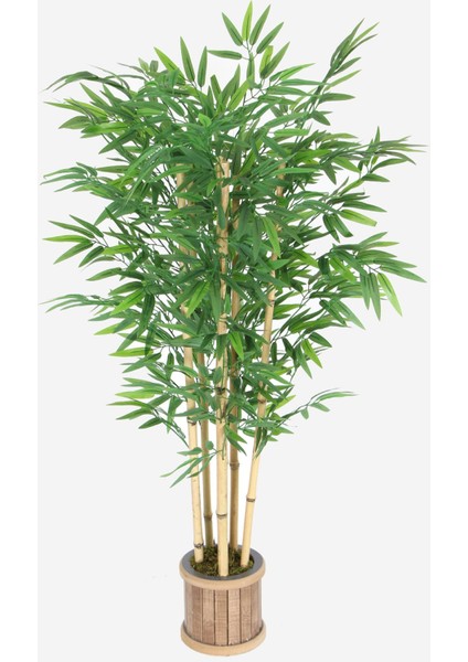 6 Gövdeli Extra Yoğun Yapraklı 125 cm Yapay Bambu Ağacı (Ahşap Saksılı)