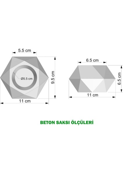 Dekoratif Geometrik Beton Saksıda Yeşillik Tanzimi 15CM