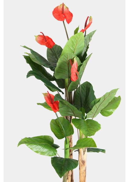 Antrasit Ahşap Saksıda Yapay Antoryum Çiçeği 210 cm fiyatları