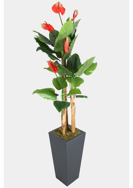 Antrasit Ahşap Saksıda Yapay Antoryum Çiçeği 210 cm modelleri