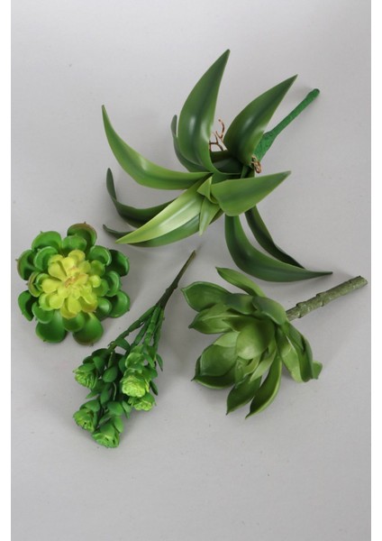 Yapay Succulent Sukulent Set - 28