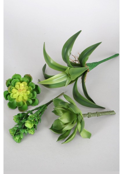 Yapay Succulent Sukulent Set - 28