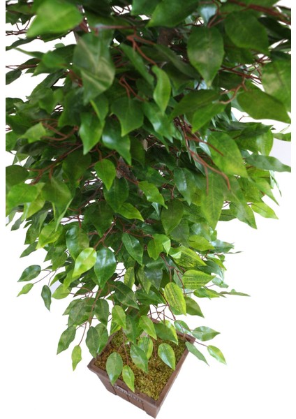 Yapay Ağaç Tek Gövdeli 2 Budaklı Benjamin Ağacı 180CM fiyatları