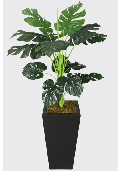 Dekoratif Saksıda Yapay Deve Tabanı Ağacı 150 cm ( Monstera Deliciosa)