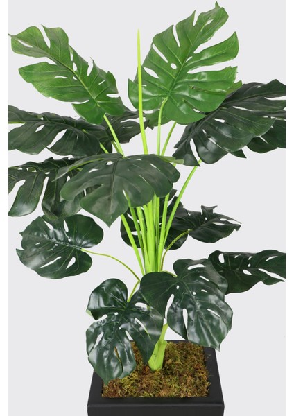 Dekoratif Saksıda Yapay Deve Tabanı Ağacı 150 cm ( Monstera Deliciosa) modelleri
