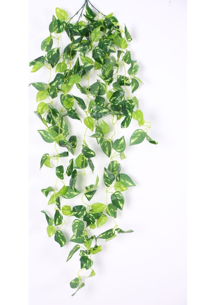 Islak Yapraklı 5 Dal Sarmaşık 110 cm Sarı Çizgili Model