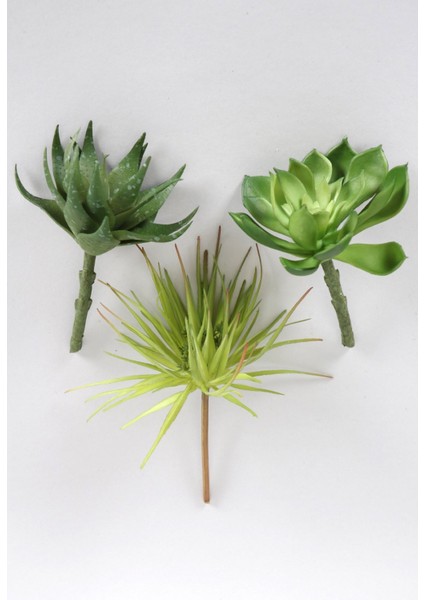 Yapay Succulent Sukulent Set - 3