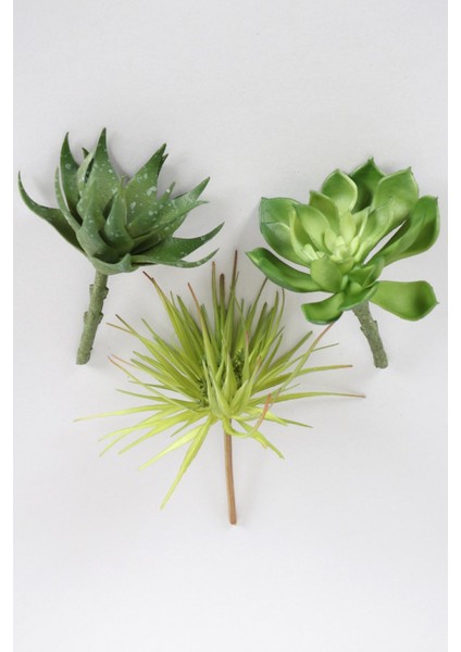 Yapay Succulent Sukulent Set - 3