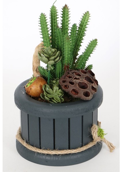 Ahşap Saksıda Yapay Succulent Huernia Penzigii