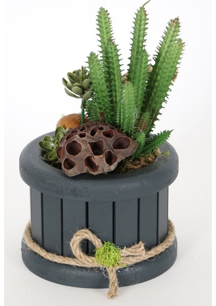 Ahşap Saksıda Yapay Succulent Huernia Penzigii fiyatları