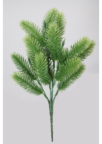 Dikenli Çam Demet Yeşil Renkli Uzun Ömürlü Çiçek 30 cm
