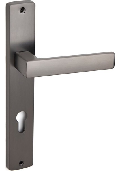 Fosıl Füme Aynalı Kapı Kolu Wc