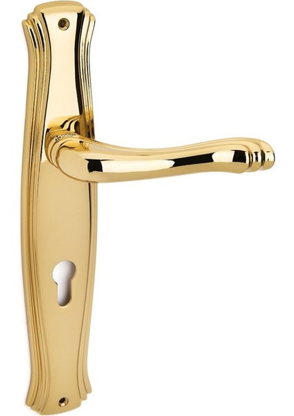 Vıctorıa Gold Aynalı Kapı Kolu Wc