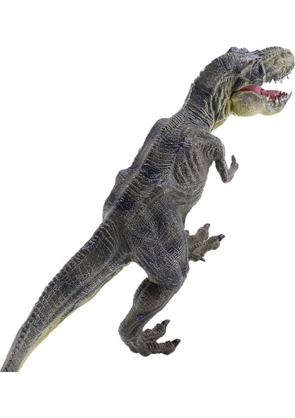 Jurassic Tyrannosaurus Rex Dinozor Modeli Büyük Katı Simüle Dinozor Oyuncaklar 30X13X5CM (Yurt Dışından)