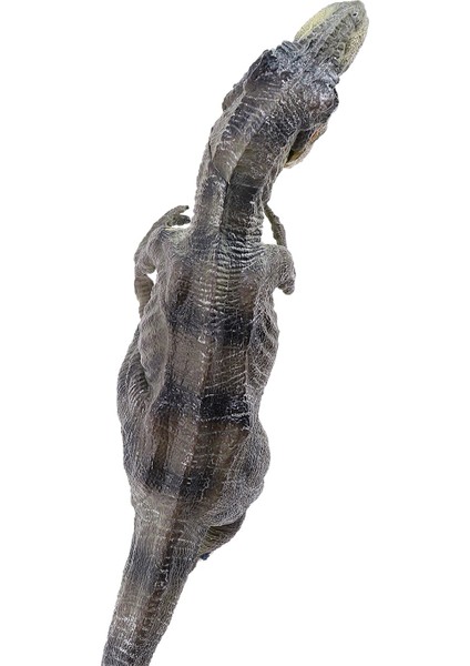 Jurassic Tyrannosaurus Rex Dinozor Modeli Büyük Katı Simüle Dinozor Oyuncaklar 30X13X5CM (Yurt Dışından)