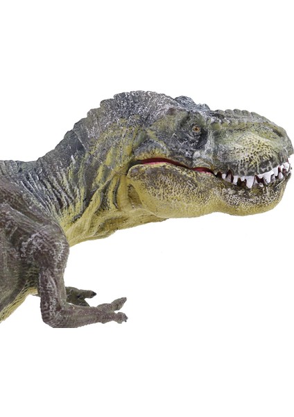 Jurassic Tyrannosaurus Rex Dinozor Modeli Büyük Katı Simüle Dinozor Oyuncaklar 30X13X5CM (Yurt Dışından)