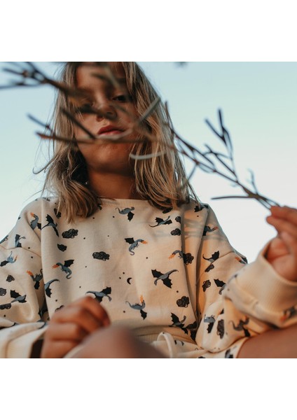 Ejderha Sweatshirt fiyatları