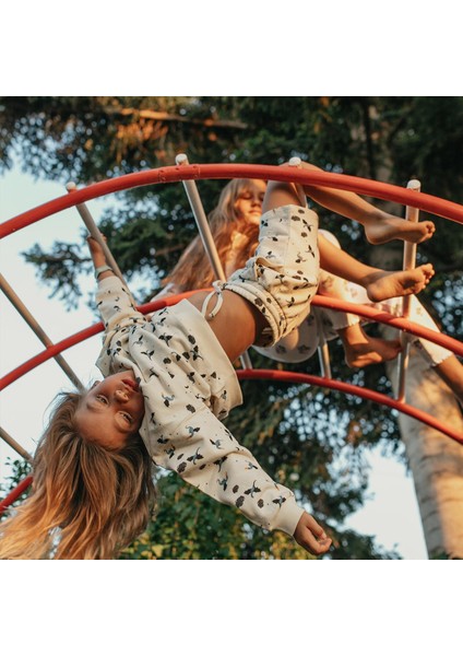 Ejderha Sweatshirt fırsatları