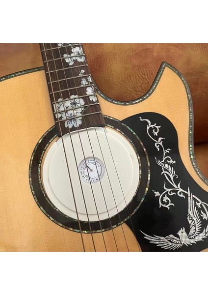 Akustik Gitar Ses Deliği Nemlendirici Gitar Nem Regülatörü Gitar Nem Alma Cihazı Siyah (Yurt Dışından)