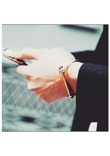Altın Paslanmaz Çelik Çapa Bilezik Erkekler Vintage D Şekli Vidalı Manşet Bilezik Bileklik Manchette Erkekler Takı Pulseiras Masculina (Yurt Dışından) modelleri