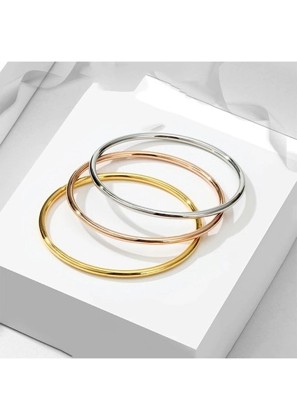 60MM Tarzı B00005 Moda Paslanmaz Çelik Basit Gül Altın Moda Lüks Bilezikler Sır Kadınlar Için Bilezikler Çift Takı (Yurt Dışından) fiyatları