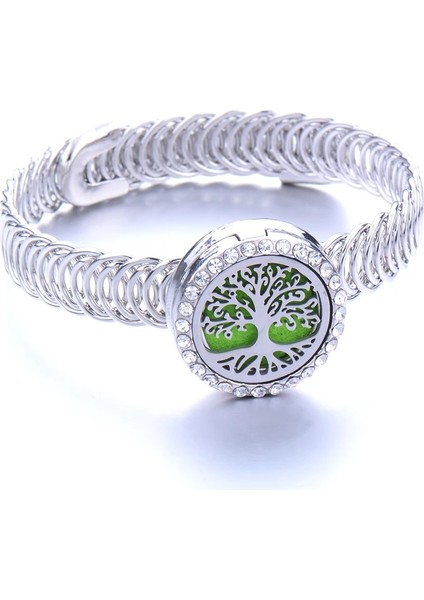 No.18 Beden Paslanmaz Çelik Difüzör Bilezik Ağaç Ömrü Tam Göktaşı Parfüm Bilezik Uçucu Yağ Difüzörü Aromaterapi Madalyon Bilezik (Yurt Dışından) modelleri
