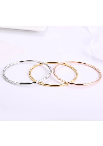 55 mm Tarzı B00005 Moda Paslanmaz Çelik Basit Gül Altın Moda Lüks Bilezikler Sır Kadınlar Için Bilezikler Çift Takı (Yurt Dışından) modelleri