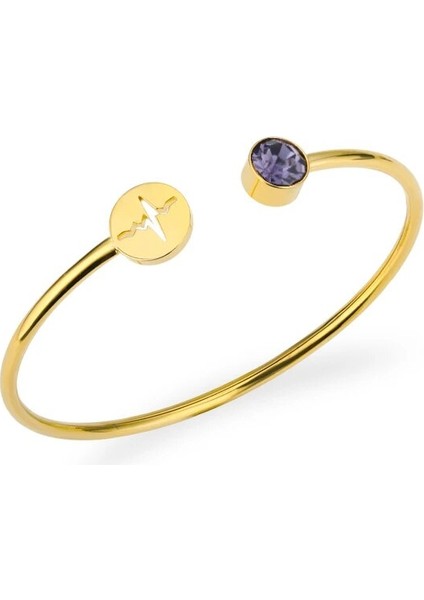 Altın Tarzı Eylül Paslanmaz Çelik Kalp Atışı Kardiyogram Bilezikler Kadınlar Için Kristal Birthstone Açık Manşet Bileklik Stetoskop Takı Hemşire Için Hediyeler (Yurt Dışından)