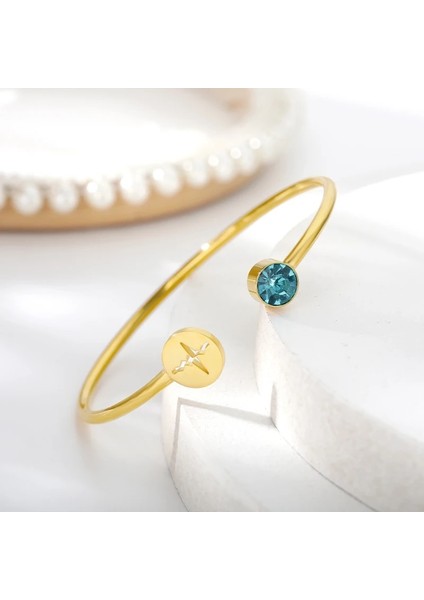 Altın Tarzı Aralık Paslanmaz Çelik Kalp Atışı Kardiyogram Bilezikler Kadınlar Için Kristal Birthstone Açık Manşet Bileklik Stetoskop Takı Hemşire Için Hediyeler (Yurt Dışından) modelleri