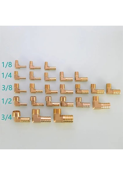 Pl Stili 14 mm Diken Pc Pcf Pl Plf Pagoda Konnektör Hortumu Dikenli Konnektör Hortumu Kuyruk Dişi Bsp Brae Bağlantısı (Yurt Dışından)