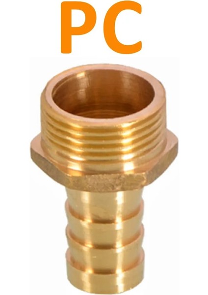 Erkek Stili 12 mm Diken Pc Pcf Pl Plf Pagoda Konnektör Hortumu Dikenli Konnektör Hortumu Kuyruk Dişi Bsp Brae Bağlantısı (Yurt Dışından)