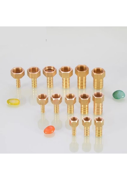 Plf Stili 12 mm Diken Pc Pcf Pl Plf Pagoda Konnektör Hortumu Dikenli Konnektör Hortumu Kuyruk Dişi Bsp Brae Bağlantısı (Yurt Dışından)