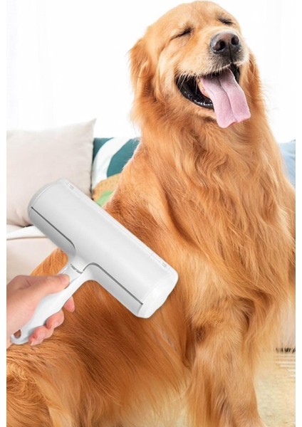 Hazneli Kedi Köpek Tüy Temizleyici Kıl Toz Toplayıcı modelleri
