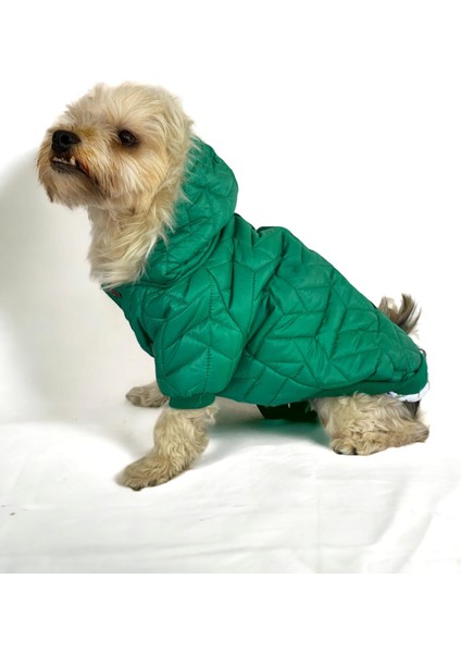 Luxy Green Köpek Montu Köpek Ceketi Köpek Dış Giyim
