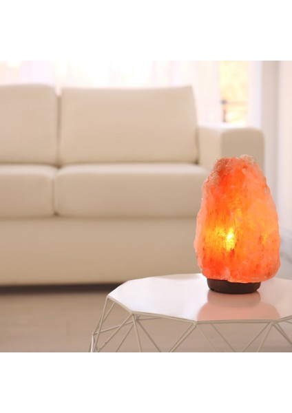 Tuz Lambası Himalaya Kaya Tuzu Gece Lambası 3-4 Kg modelleri