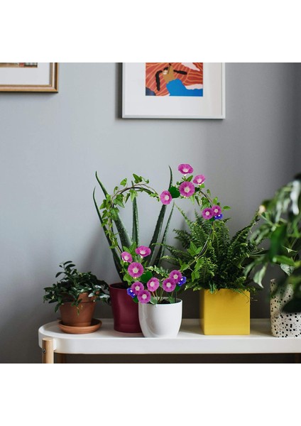 4 Adet Izgara Bitki Rattan Destek Hatları Tırmanma Tesisleri Bitki Tırmanma Çerçevesi Saksı Çiçekleri Sapanlar Rulo ve Kalpler (Yurt Dışından) modelleri