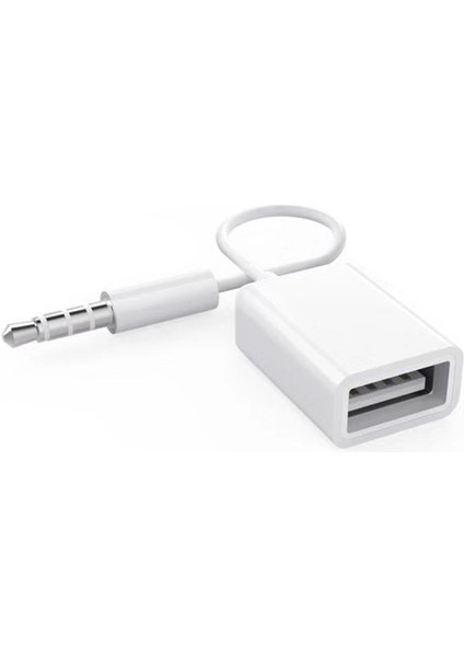 Araba Oto USB Dişi 3.5mm Jack Aux Erkek Ses Kablosu Dönüştürücü Uzatma Kablosu (Yurt Dışından)