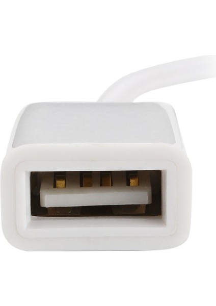 Livecity Araba Oto USB Dişi 3.5mm Jack Aux Erkek Ses Kablosu Dönüştürücü Uzatma Kablosu (Yurt Dışından)