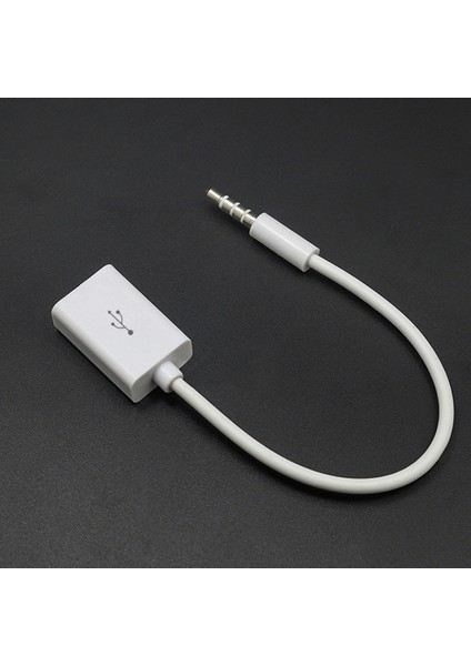 Livecity Araba Oto USB Dişi 3.5mm Jack Aux Erkek Ses Kablosu Dönüştürücü Uzatma Kablosu (Yurt Dışından) fiyatları