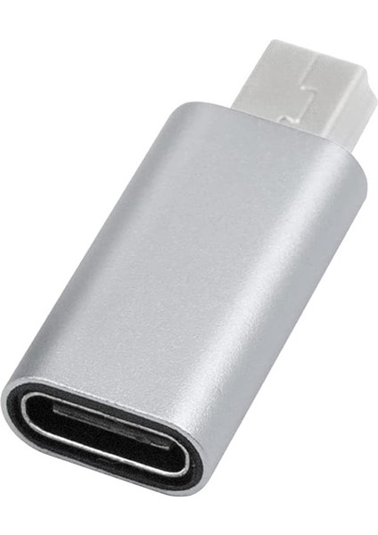 Gopro Mp3 Çalarlar Için USB C - Mini USB 2.0 Adaptörü Araç Kamerası, Gümüş (Yurt Dışından)