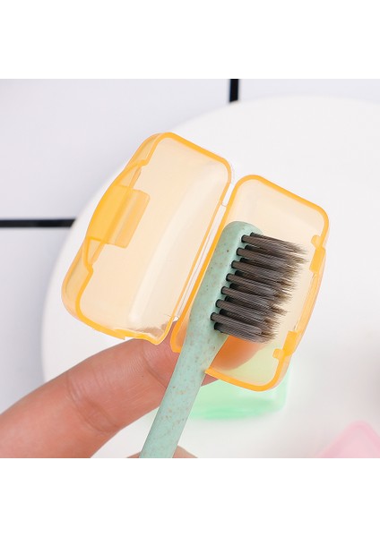 Adet/takım Plastik Diş Fırçası Kılıfı Çok Renkli Seyahat Yürüyüş Taşınabilir Fırça Kapağı Koruyucu Kılıf Diş Fırçası Tutucu Koruyun (Yurt Dışından) fiyatları