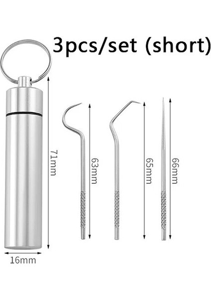 Kürdan Cep Seti Paslanmaz Çelik Yeniden Kullanılabilir Taşınabilir Metal Ipi Kürdan Açık Piknik Seyahat Için Tutucu ile (Yurt Dışından)