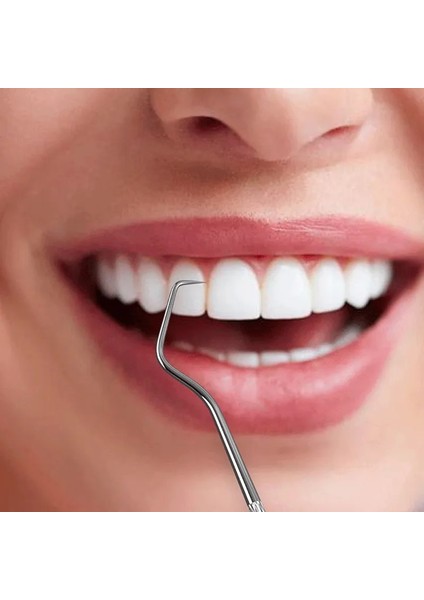 Kürdan Cep Seti Paslanmaz Çelik Yeniden Kullanılabilir Taşınabilir Metal Ipi Kürdan Açık Piknik Seyahat Için Tutucu ile (Yurt Dışından) modelleri