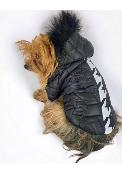 Luxy Black Köpek Montu, Köpek Ceketi, Köpek Dış Giyim indirimleri