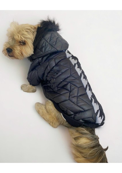 Luxy Black Köpek Montu, Köpek Ceketi, Köpek Dış Giyim fiyatları